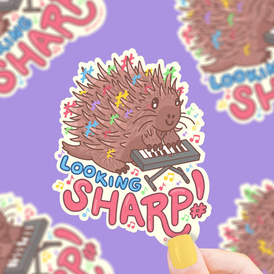 Looking Sharp Musical Porcupine Music Vinyl Sticker