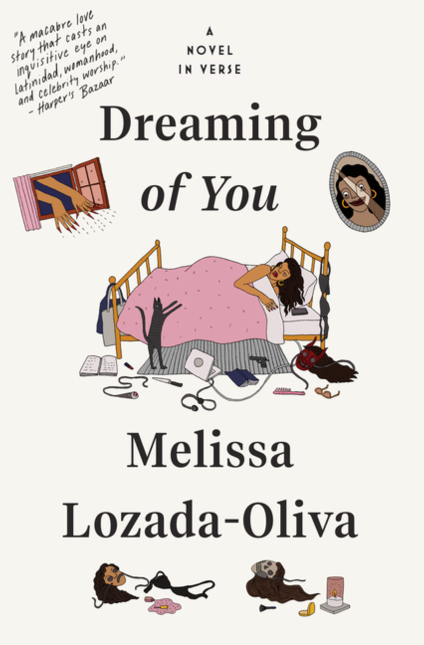Dreaming of You: A Novel in Verse